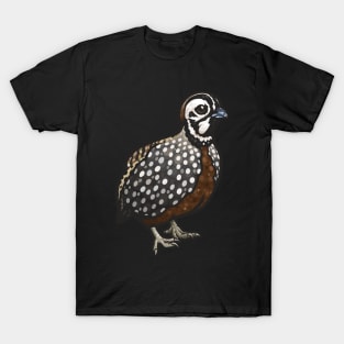 Montezuma Quail T-Shirt